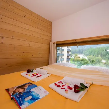 Sainte-foy-l'argentiere Sleeps 4 Apartment